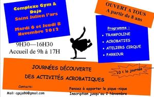 Journées "Découverte des activités acrobatiques"